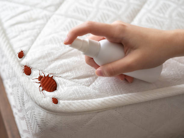 Best Pest Control for Multi-Family Homes  in Huron, OH